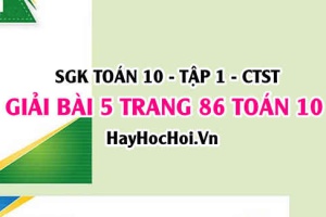 Giải bài 5 trang 86 Toán 10 Chân trời sáng tạo SGK Tập 1